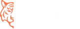 Tiger Digital Ventures